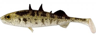 4-Stickleback