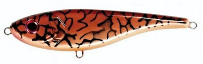 Brown Mackerel