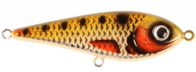 CWC007-Golden Ridgeback