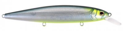 CWC012 Bold - Acid Herring