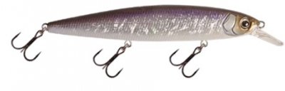 CWC046-Neon Wakasagi