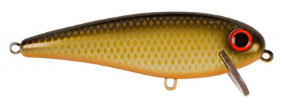 JV005-Shitty Roach