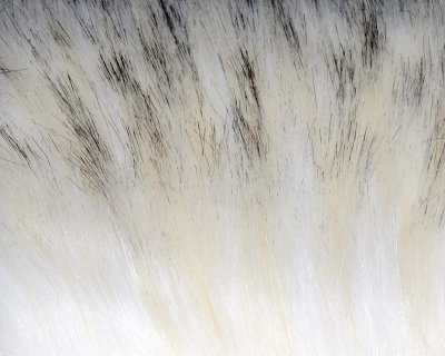 Super Select Craft Fur - Black Tipped Creamy White