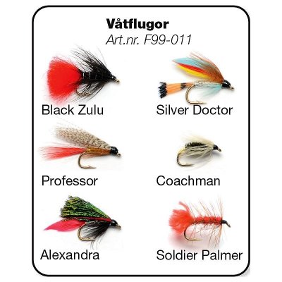 Våtflugor